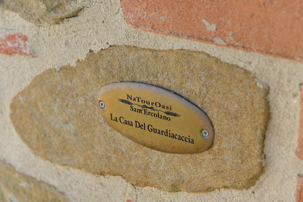 Natouroasi Agriturismo Guest House Monte San Savino Exterior photo